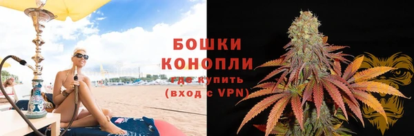 сатива Балахна