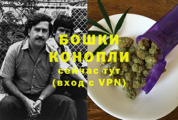 сатива Балахна