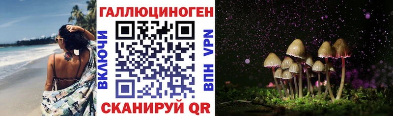 Псилоцибиновые грибы Psilocybine cubensis  маркетплейс телеграм  Новодвинск 